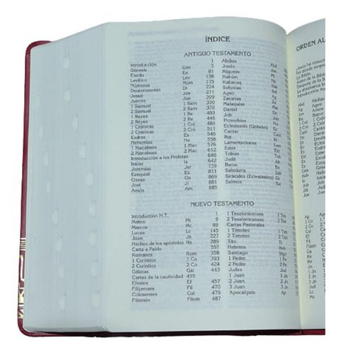 ejemplo biblia 1