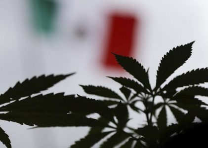 Iglesia en México reprueba la legalización del uso lúdico y recreativo de la mariguana