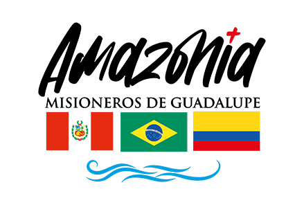 Bandera de amazonía