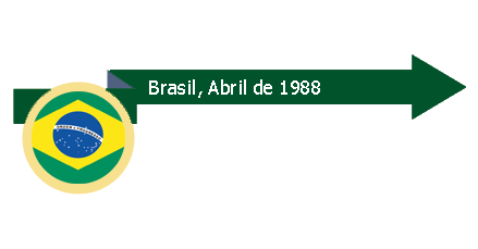 Placa de brazil y año